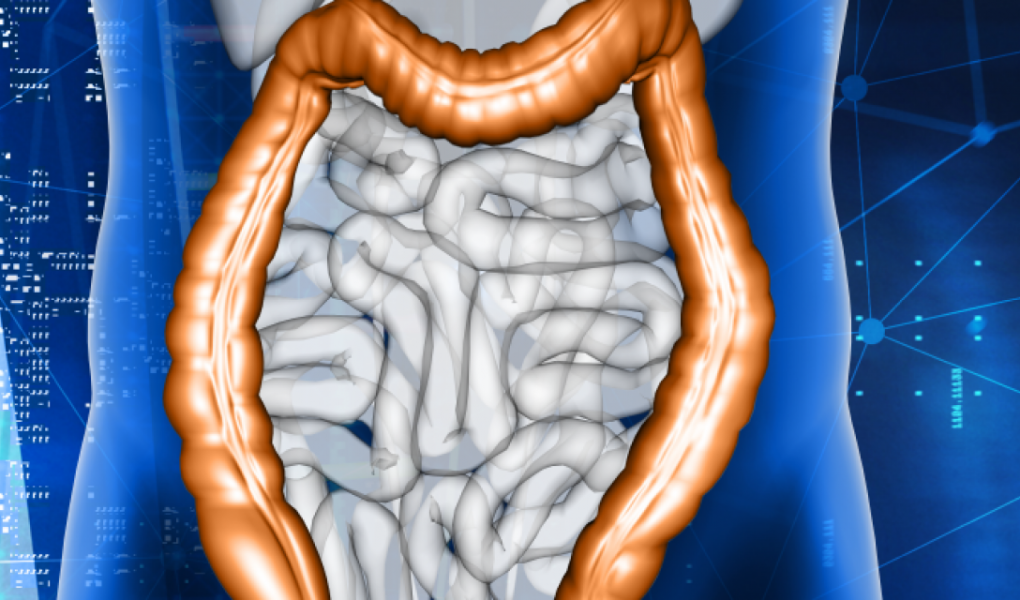 Usus adalah Otak Kedua? Cara "Gut-Brain Axis" Menjadi Kunci Kesehatan Mental di 2025