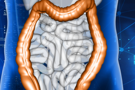 Usus adalah Otak Kedua? Cara "Gut-Brain Axis" Menjadi Kunci Kesehatan Mental di 2025