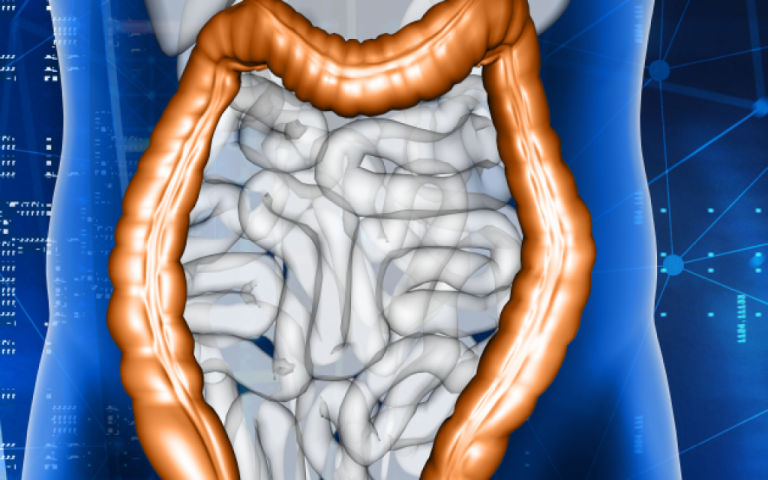 Usus adalah Otak Kedua? Cara "Gut-Brain Axis" Menjadi Kunci Kesehatan Mental di 2025