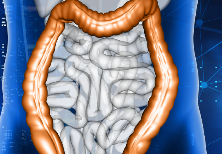Usus adalah Otak Kedua? Cara "Gut-Brain Axis" Menjadi Kunci Kesehatan Mental di 2025