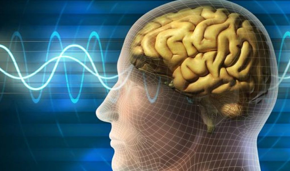 Epidemi 'Neural-Fatigue': Saat Terapi Gelombang Otak AI di Klinik Kecantikan Jakarta Picu Kecanduan Dopamin Instan Sepanjang Oktober 2026