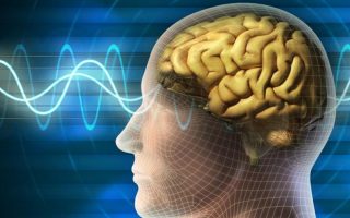 Epidemi 'Neural-Fatigue': Saat Terapi Gelombang Otak AI di Klinik Kecantikan Jakarta Picu Kecanduan Dopamin Instan Sepanjang Oktober 2026
